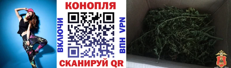 Конопля сатива  KRAKEN маркетплейс  Переславль-Залесский 